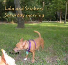Lala and Snickers Saturday morning book cover