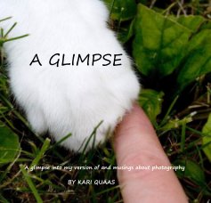 A GLIMPSE book cover