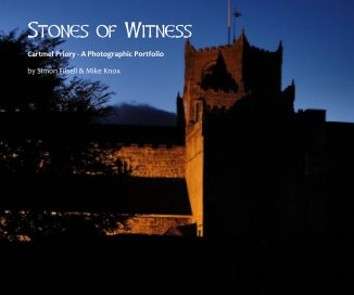 Stones of Witness book cover