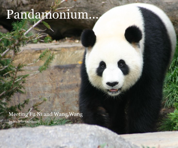 View Pandamonium.... by Michelle Fitz-Gerald
