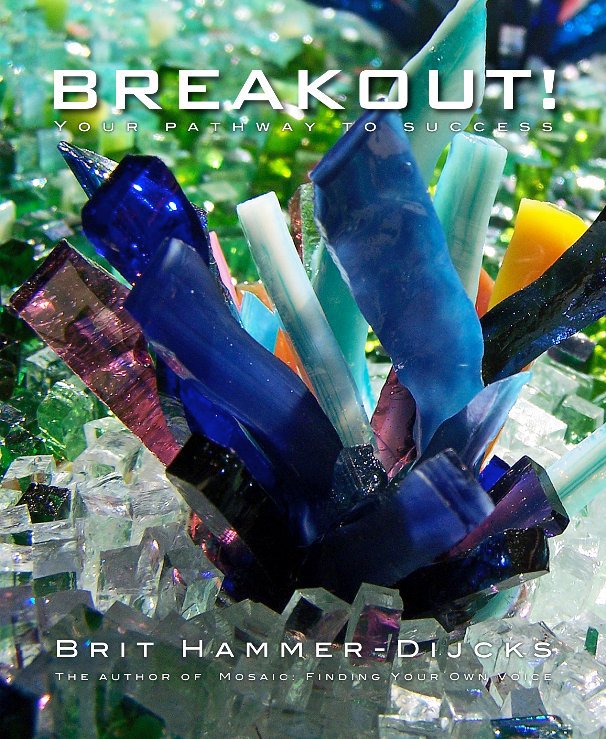 Breakout! nach Brit Hammer-Dijcks anzeigen