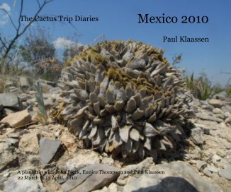 Mexico 2010 book cover