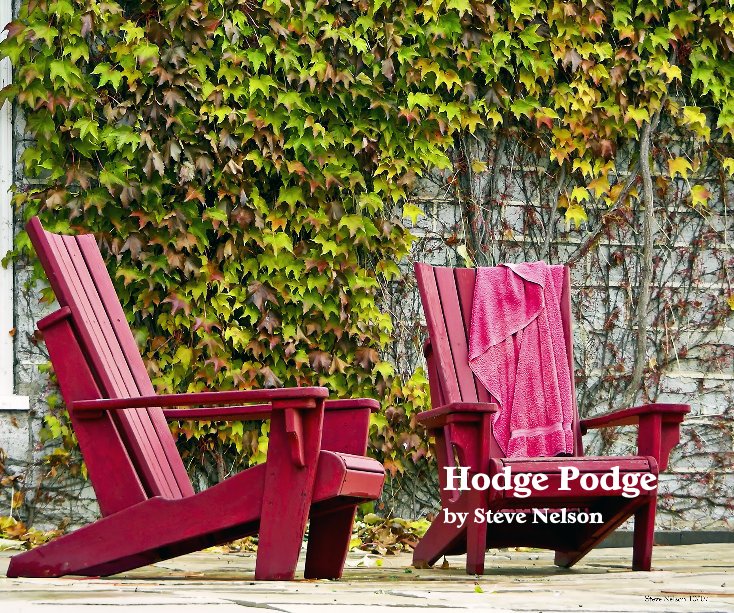 Visualizza Hodge Podge di Steve Nelson