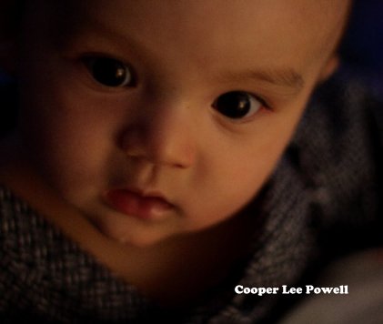 cooper Lee Powell book cover