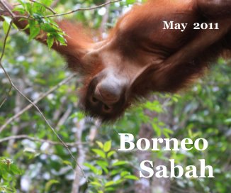 2011 Borneo Sabah book cover