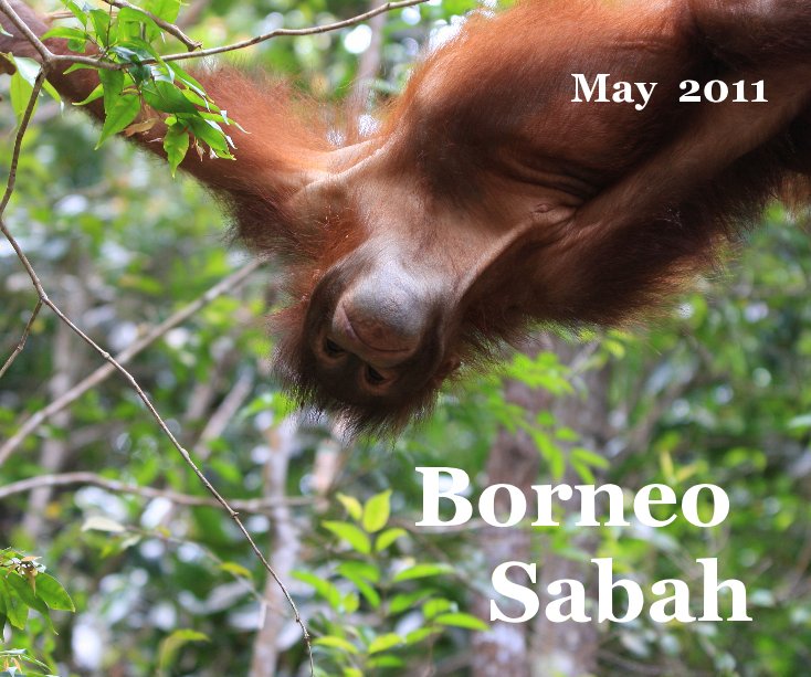 Ver 2011 Borneo Sabah por S milner