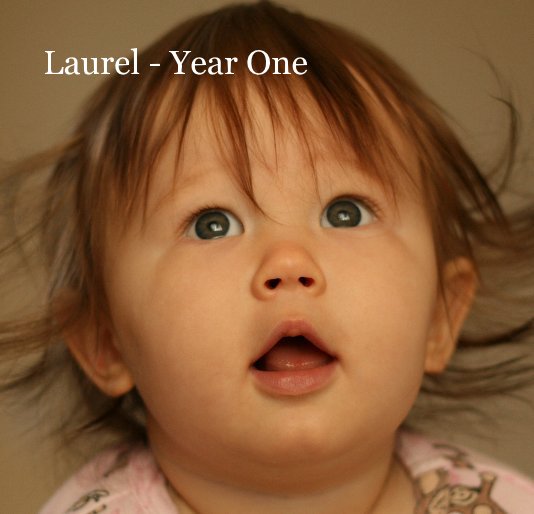 View Laurel - Year One by Brian DeHamer