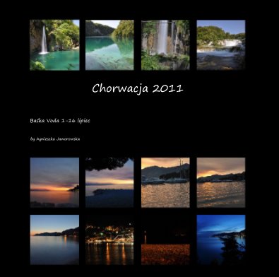 Chorwacja 2011 book cover
