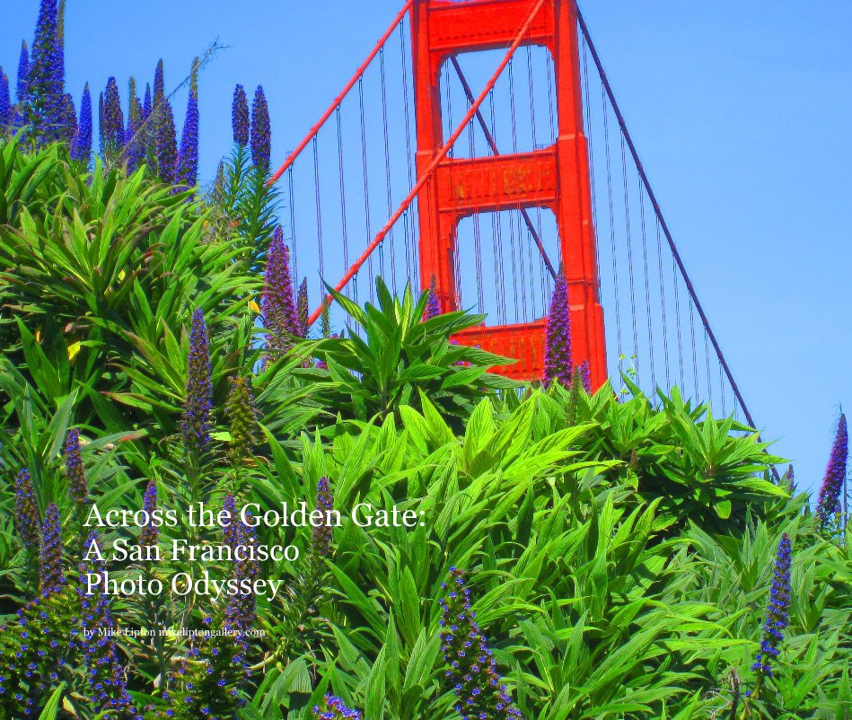 View Across the Golden Gate: A San Francisco Photo Odyssey by Mike Lipton mikeliptongallery.com