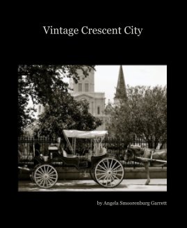 Vintage Crescent City book cover