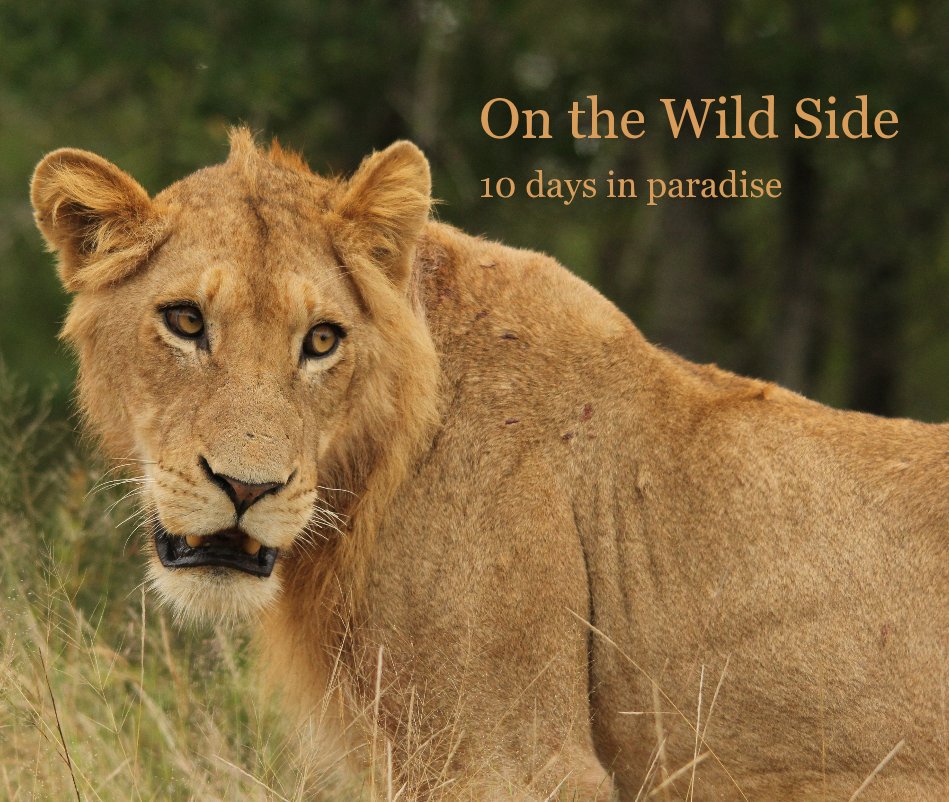 View On the Wild Side by Sioux Gijzen