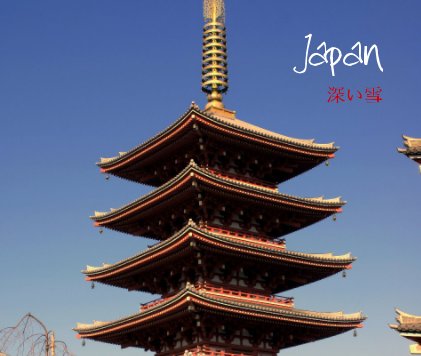 Japan 2011 book cover