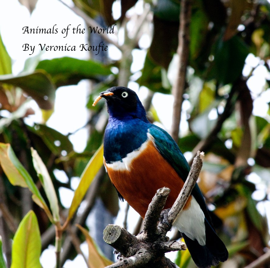 View Animals of the World by Veronica Koufie