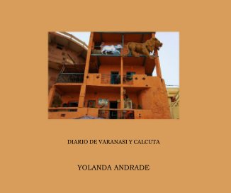 DIARIO DE VARANASI Y CALCUTA book cover