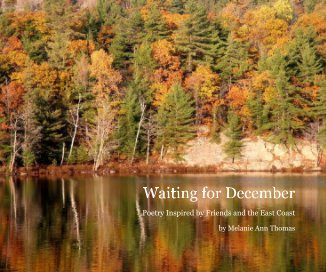 Waiting for December book cover