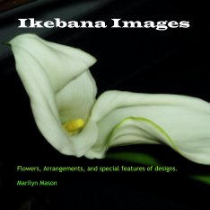 Ikebana Images book cover