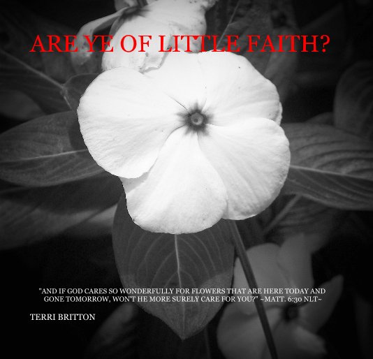 Ver ARE YE OF LITTLE FAITH? por TERRI BRITTON