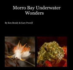 Morro Bay Underwater Wonders book cover