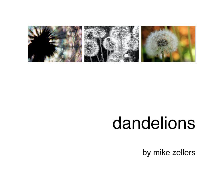 View dandelions by mike zellers