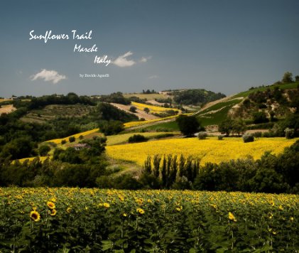 Sunflower Trail Marche Italy book cover