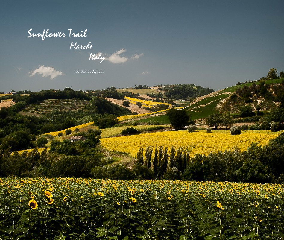 View Sunflower Trail Marche Italy by Davide Agnelli