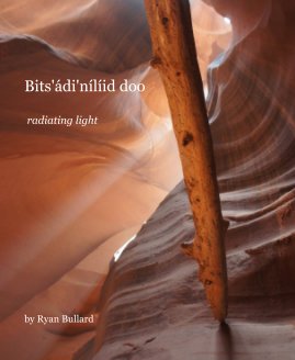 Bits'ádi'nílíid doo book cover