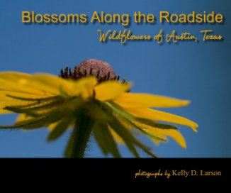 Blossoms Along the Roadside book cover