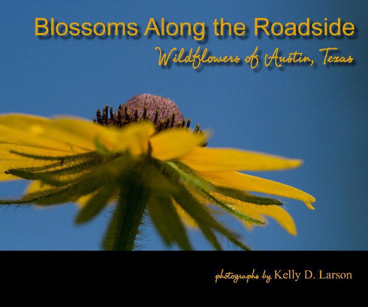 View Blossoms Along the Roadside by Kelly D. Larson