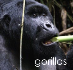 gorillas book cover