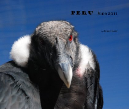 Peru June 2011 book cover