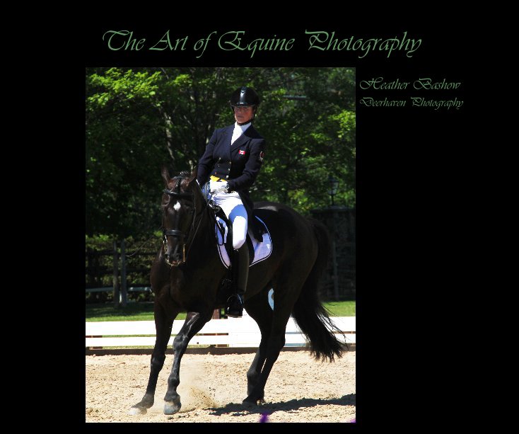 View The Art of Equine Photography by Heather Bashow Deerhaven Photography
