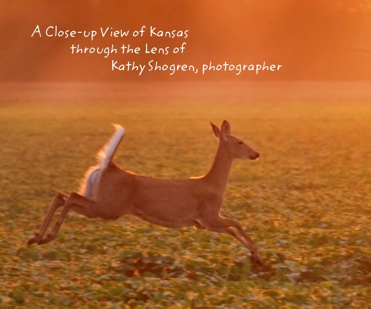 View A Close-up View of Kansas by Kathy Shogren, photographer