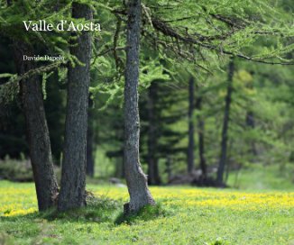 Valle d'Aosta book cover
