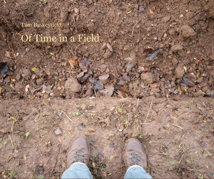 Ver Of Time in a Field por Tom Baskeyfield