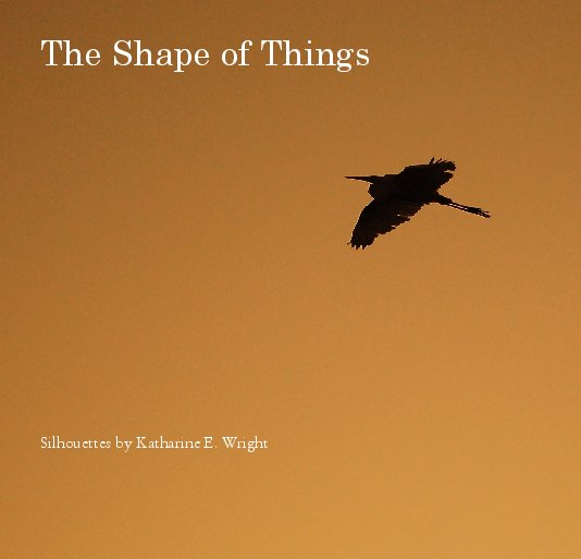 View The Shape of Things by Katharine E. Wright