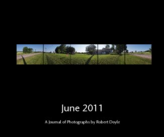 June 2011 book cover