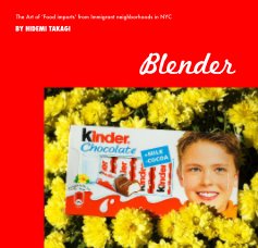 Blender book cover
