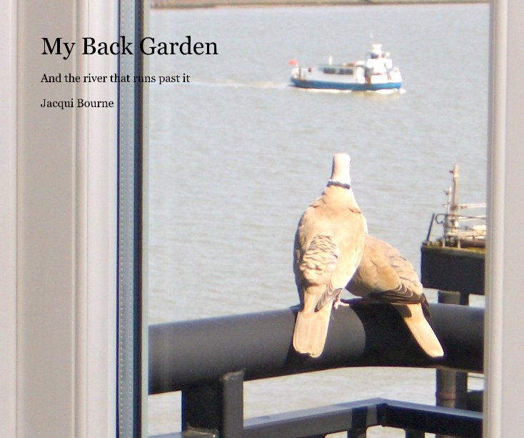 View My Back Garden by Jacqui Bourne