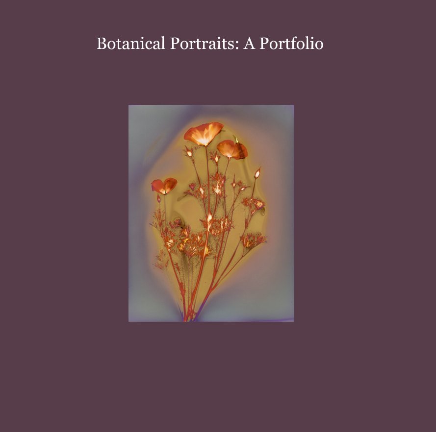 View Botanical Portraits: A Portfolio by Jennifer Spencer