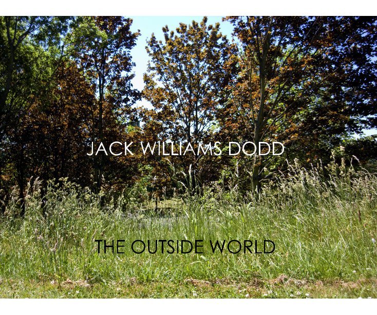 View The Outside World by Jack Williams Dodd