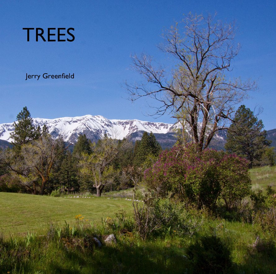 View TREES by Jerry Greenfield