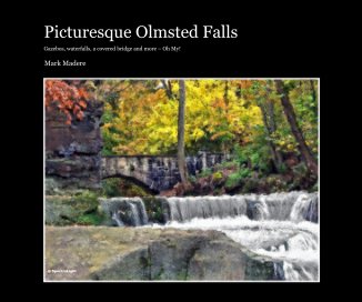 Picturesque Olmsted Falls book cover
