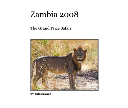 Zambia 2008 book cover
