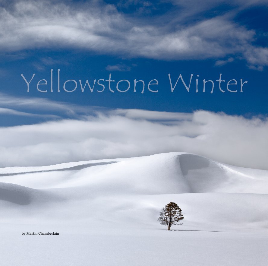 View Yellowstone Winter by Martin Chamberlain