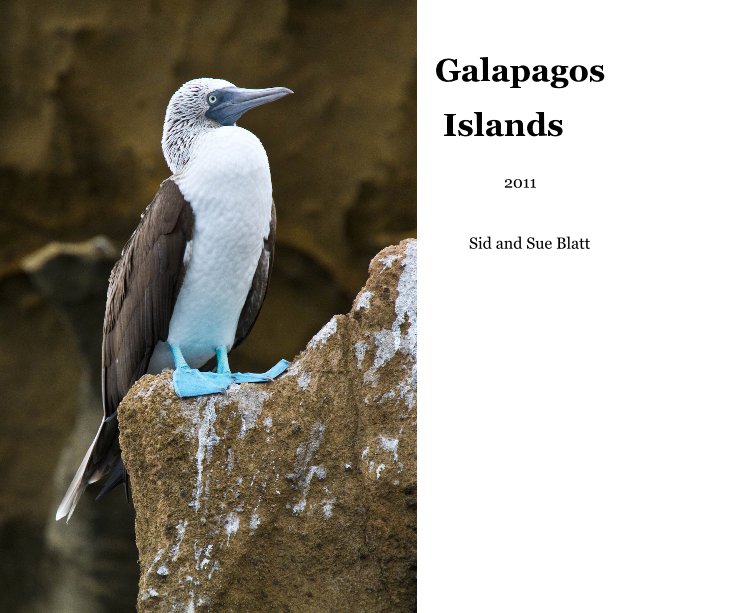 View Galapagos Islands by Sid and Sue Blatt