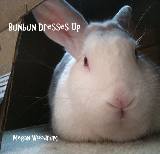 View Bunbun Dresses Up by Megan Woodrum