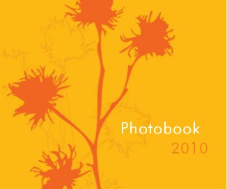 Photobook 2010 (PC) book cover