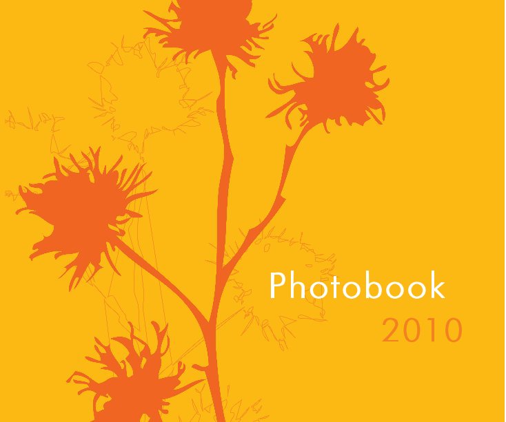 View Photobook 2010 (PC) by Winnie Ko