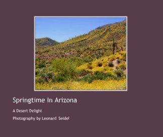 Springtime In Arizona book cover