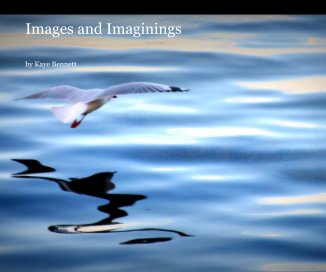 Images and Imaginings book cover